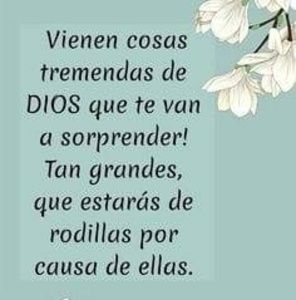 Meet your Posher, Oscar